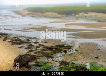 Vue sur les marais d'eau salée avec prairies et brouillard tôt le matin le long de l'océan Atlantique à Provincetown, Cape Cod, Massachusetts. Banque D'Images