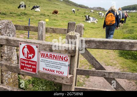 Panneau d'avertissement, les chiens doivent être gardés en plomb et neospora peut être transporté dans les fèces de chiens, sur le sentier de la côte de Pembroke, Dale, pays de Galles, Royaume-Uni Banque D'Images