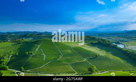 Vue d'en haut sur les vignobles et les maisons rurales avant récolte sur les collines de Langhe (quartier des vins) dans le Piémont, Italie. Banque D'Images