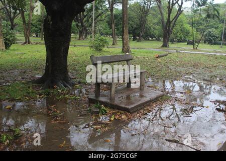 Une belle photo d'un banc en bois dans le parc Banque D'Images