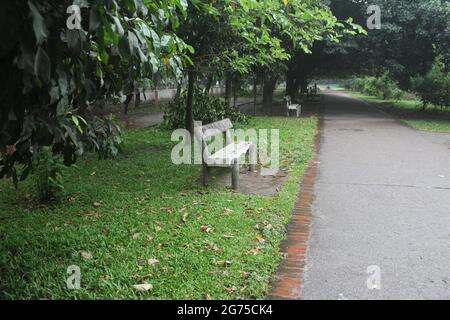 Une belle photo d'un banc en bois dans le parc Banque D'Images