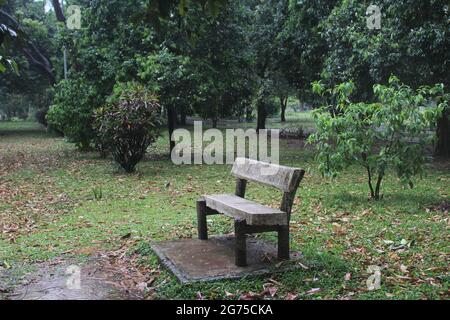 Une belle photo d'un banc en bois dans le parc Banque D'Images