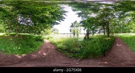 Vue panoramique à 360° de Panorama sphérique sans couture vue angulaire à 360 degrés d'un sentier à travers la forêt de pins