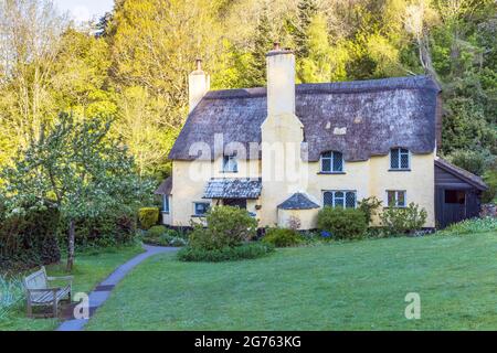 Un des cottages historiques au toit de chaume dans le village pittoresque de Selworthy, près de Minehead, dans le parc national d'Exmoor, Somerset, Angleterre Banque D'Images