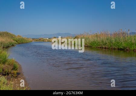 Canal d'eau à travers les rizières du delta de l'Ebro dans la région de Tarragone. Espagne Banque D'Images