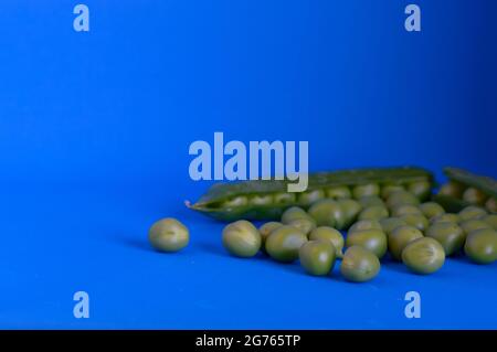 Pois verts biologiques, fraîchement cueillis et épluchés de la gousse, isolés sur fond bleu. Concept de saine alimentation, de Dalmatie Banque D'Images