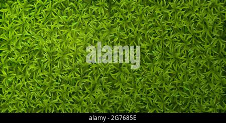 Vert herbe réaliste vue du dessus printemps pelouse couverture naturelle sans couture bannière illustration vectorielle de fond Illustration de Vecteur