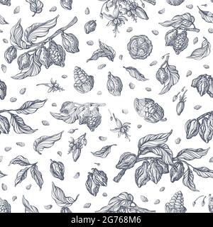 Motif cacao sans coutures. Esquisse de la nature vectorielle sur fond blanc. Arbre dessiné à la main, haricot, fleur en fleur, feuilles, grain. Art vintage provence illustraa Illustration de Vecteur