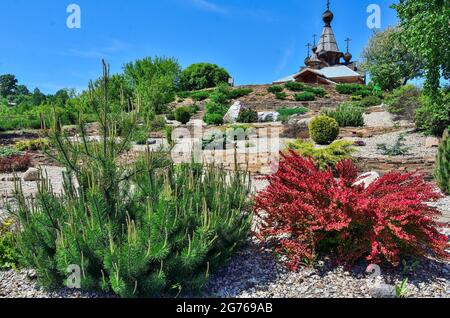 Jardin de poney ornemental avec conifères nains sur la pente de la colline - cour avant du temple orthodoxe. Cultivar Thunbergs barberry (Berberis thunbergii 'Red RO Banque D'Images