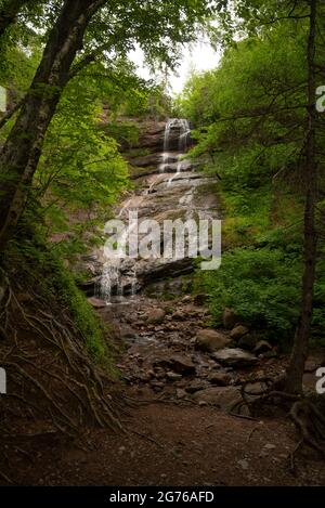 Beulach Ban tombe dans le parc national des Highlands de la Nouvelle-Écosse. Banque D'Images