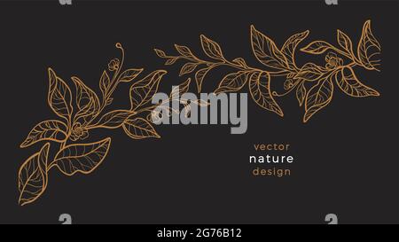 Nature de la ligne d'art vectoriel. Plante florale, illustration graphique à dessin à la main. Branche de thé botanique, feuille, fleur en fleur. Guirlande dorée ornée. Vin romantique Illustration de Vecteur