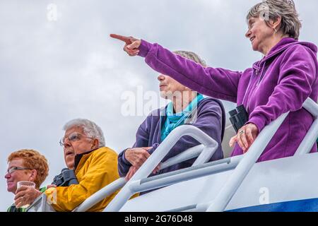 Touristes à bord de l'un des bateaux de croisière Dolphin sur une observation des baleines, Cape Cod, Massachusetts. Une femme a repéré une baleine. Banque D'Images