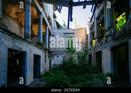 Intérieur en ruines d'un manoir surcultivé par des plantes. Nature et architecture abandonnée, concept post-apocalyptique vert. Banque D'Images