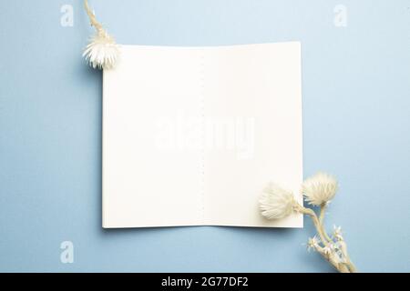 Ordinateur portable ouvert avec fleurs blanches sèches sur fond bleu. Vue du dessus, espace de copie Banque D'Images