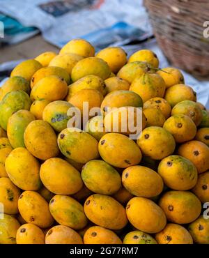 Mangues jaunes déchirées sur le marché , beaucoup de mangues sur le marché des fruits à vendre au Pakistan, le Pakistan produit les meilleures mangues dans le monde Banque D'Images