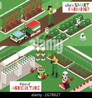 Ensemble de deux bannières horizontales isométriques Smart Farm avec vues extérieures des plantations avec illustration vectorielle de robots agricoles Illustration de Vecteur