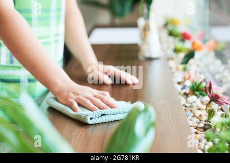 Image rapprochée d'une jeune femme essuyant les surfaces dans un café ou un café avant d'ouvrir et d'inviter des clients Banque D'Images