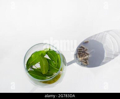 Verre à vin avec eau et feuilles vertes. Les capsules de pilule se trouvent dans le reflet du verre. Abat-jour en forme de verre à vin. Banque D'Images