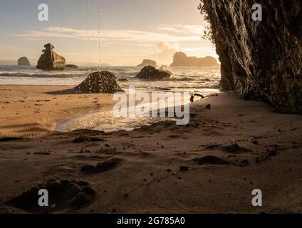 Tôt le matin à Cathedral Cove, Coromandel, Nouvelle-Zélande Banque D'Images