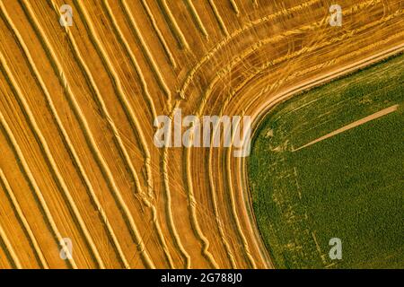 Vue aérienne d'un champ de blé fraîchement récolté. Beauté et les modèles d'une terre agricole cultivée d'en haut. Banque D'Images