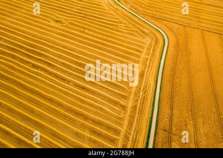 Vue aérienne d'un champ de blé fraîchement récolté. Beauté et les modèles d'une terre agricole cultivée d'en haut. Banque D'Images