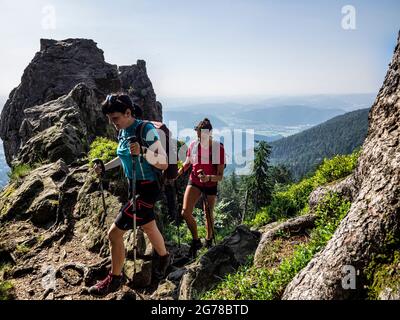 Randonnée pédestre sur le Zweälersteig: Chemin étroit sur les Kandelfels en dessous du sommet du Kandel, vue en direction ouest Banque D'Images