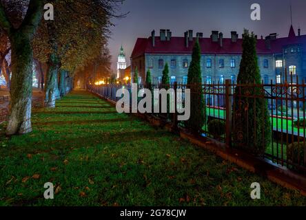 Vieille allée de la ville dans le centre-ville la nuit. Lviv. Ukraine. Banque D'Images