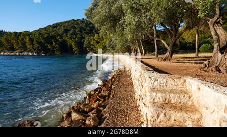 Iles Ioniennes, Ithaca, Île d'Odysseus, Vathi, Plage de Loutsa, eau verte, eau bleue, arbres sur la plage, plage solitaire Banque D'Images