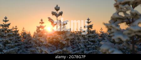 Vue aérienne des pins couverts de neige au coucher du soleil sur un rendu 3d par temps clair Banque D'Images