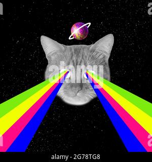 Collage d'art contemporain, design moderne. Ambiance de fête. Tête de chat avec arc-en-ciel coloré inondation de lunettes. Banque D'Images