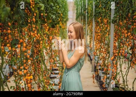 Jeune femme et tomates cerises jaunes poussent dans le jardin. Gros plan Banque D'Images