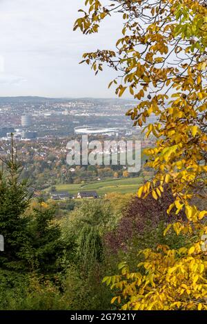 Europe, Allemagne, Bade-Wurtemberg, Stuttgart, Untertürkheim, Vue sur la Mercedes-Benz Arena de Stuttgart par une journée d'automne grise Banque D'Images