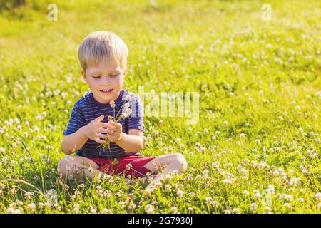 Un garçon blond est assis sur une pelouse verte ensoleillée et tient une fleur de trèfle dans ses mains, l'enfance, joie fête des mères Banque D'Images