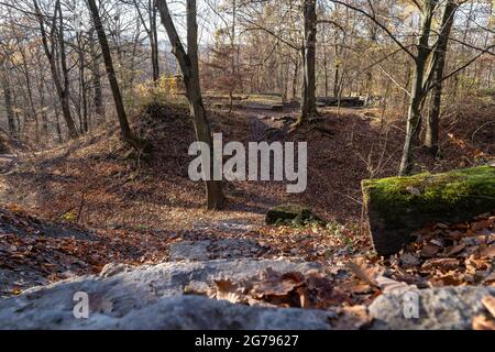 Europe, Allemagne, Bade-Wurtemberg, Stuttgart, forêt urbaine, Ruine Burg de Dischinger dans la zone forestière Burg de Dischinger Banque D'Images