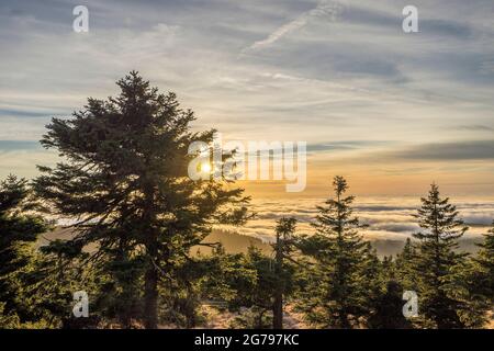 Allemagne, Saxe-Anhalt, parc national de Harz, pousse sur le Brocken en temps inverse Banque D'Images