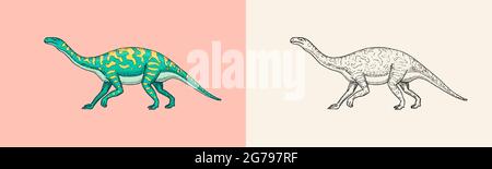 Dinosaures Barosaurus, Apatosaurus, Tenontosaurus plateaux, large lézard, Massospondylus, Diplodocus, fossiles. Reptiles préhistoriques, animaux Illustration de Vecteur