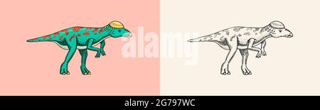 Dinosaure Pachycéphalosaurus, Lomovisaurus, squelettes, fossiles. Reptiles préhistoriques. Croquis vintage gravé à la main pour un imprimé t-shirt ou une affiche. Illustration de Vecteur