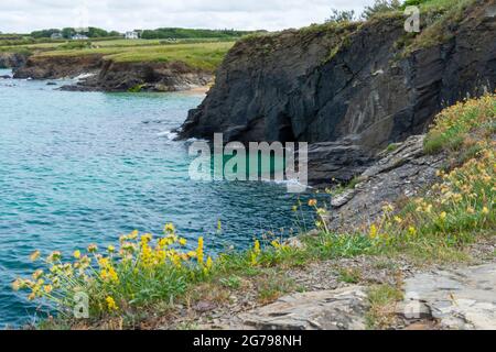 La belle mer turquoise, en direction de Harlyn Bay, Cornwall, Royaume-Uni. Banque D'Images