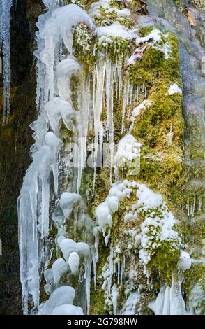 Icicles sur une roche à tuf de mousse sur le Märzenbach près de Reutlingen-Mittelstadt Banque D'Images