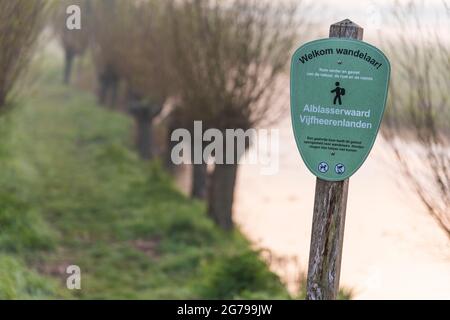 Impressions d'une randonnée printanière au lever du soleil et brouillard dans le sud de la Hollande dans la région d'Alblasserwaard Vijfheerenlanden près de Kinderdijk: 'Tiendweg' avec des saules de pollard, panneaux de randonnée Banque D'Images