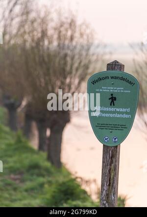 Impressions d'une randonnée printanière au lever du soleil et brouillard dans le sud de la Hollande dans la région d'Alblasserwaard Vijfheerenlanden près de Kinderdijk: 'Tiendweg' avec des saules de pollard, panneaux de randonnée Banque D'Images