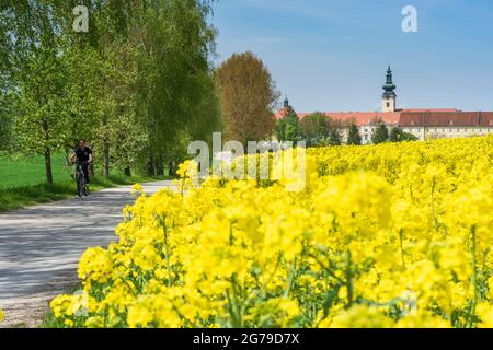 Seitenstetten, Abbaye de Stift Seitenstetten, champ de colza dans la région de Mostviertel, Niederösterreich / Basse-Autriche, Autriche Banque D'Images