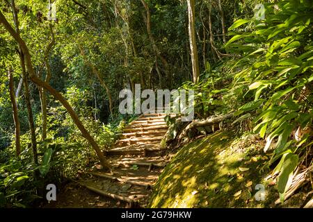 A pied de Praia Vermelha (plage Rouge), des eaux océaniques et des montagnes environnantes, à travers les arbres du sentier de Sugarloaf Mountain, situé à Rio de Janeiro, Brésil. Banque D'Images