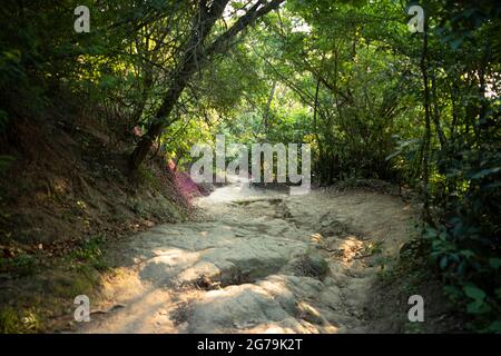 Sur le chemin du sommet de Pedra do Telegrafo, Barra de Guaratiba, Rio de Janeiro / Brésil Banque D'Images