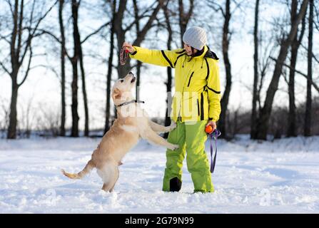 Chien jouant avec une femme à l'extérieur Banque D'Images