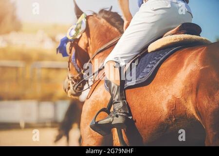 Vue arrière d'un cheval galant de l'étreuil avec une rosette sur le rebord et avec un cavalier en selle lors d'une journée ensoleillée et claire aux compétitions équestres. Wi Banque D'Images