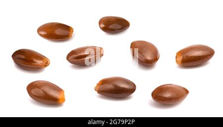 Graines d'anis étoilé isolées sur fond blanc Banque D'Images