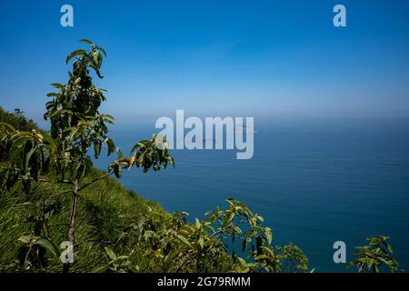 Vue depuis la colline des deux Frères (Morro Doi Irmão) à Rio de Janeiro Banque D'Images