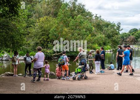 Cobh, Co. Cork, Irlande. 12 juillet 2021. Aujourd'hui, la réserve d'animaux de Fota a été remplie de visiteurs. Des milliers de visiteurs ont assisté à ce qui était un jour chaud mais couvert. Crédit : AG News/Alay Live News Banque D'Images