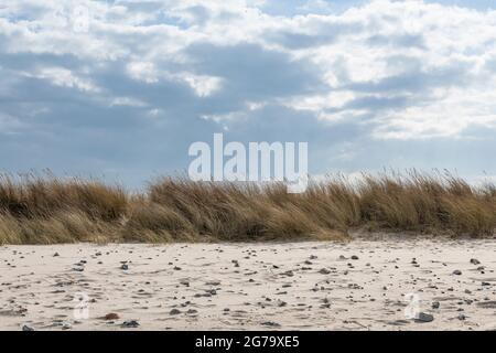 Réserve naturelle estuaire de Schleim sur la mer Baltique au Schleswig-Holstein. Banque D'Images